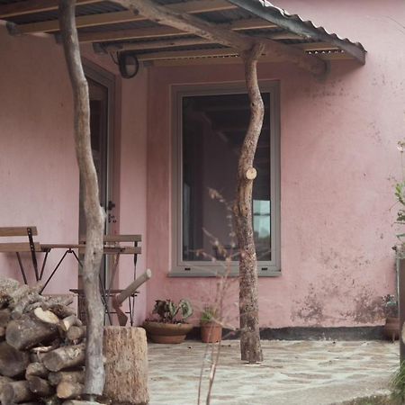 Cabana Do Dinamarques Em Arga De Baixo Exteriér fotografie